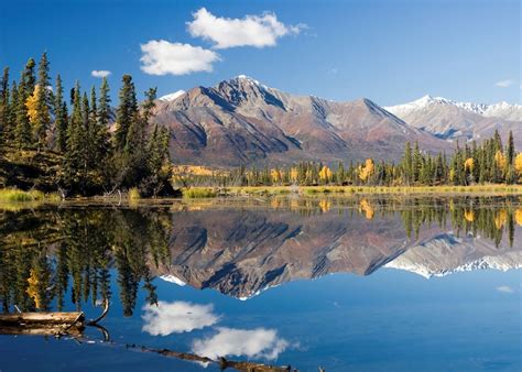 Back to Alaska .
